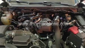 Xe Ford Ranger XLS 2.0L 4x2 AT 2024